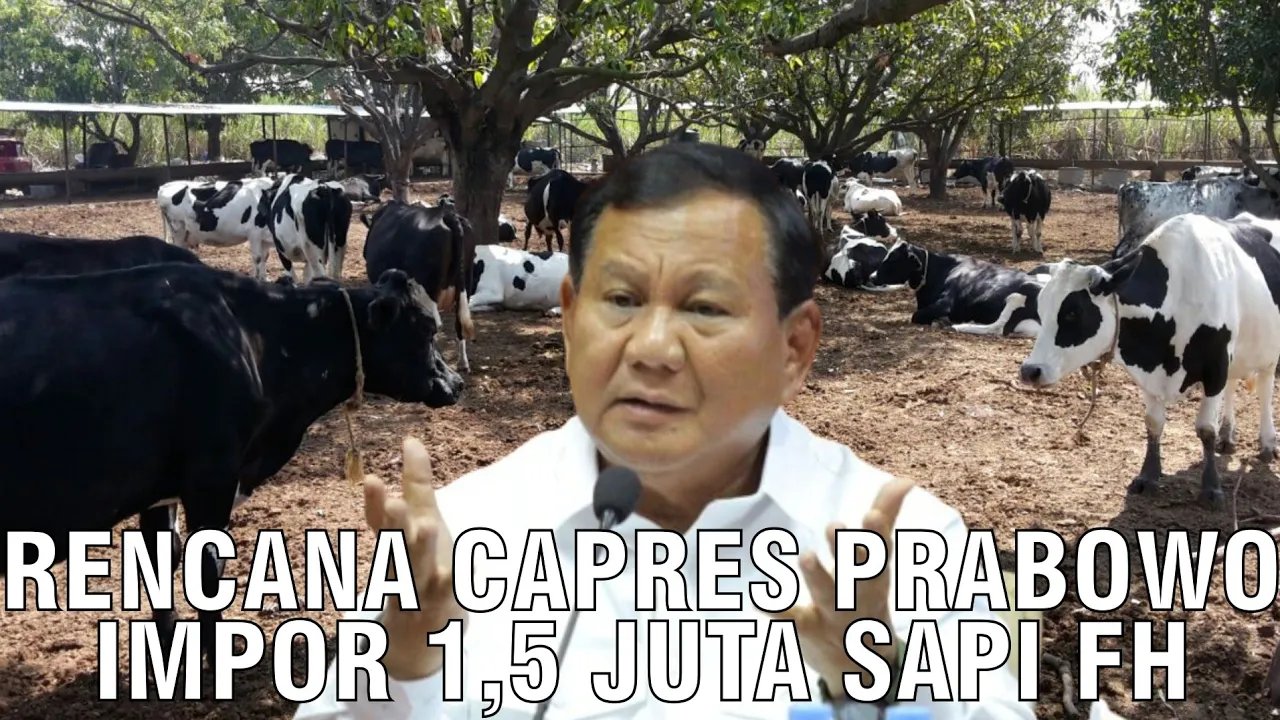 
                                 Rencana-Capres-Prabowo-Impor-1,5-Juta-Sapi-FH